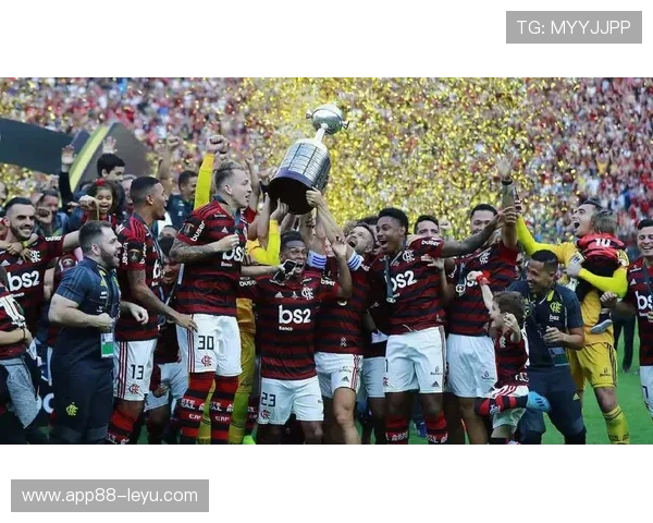 弗拉门戈巴甲豪门最新动态:阵容调整,迎战新挑战! 弗拉门戈巴甲豪门最新动态:阵容调整,迎战新挑战!